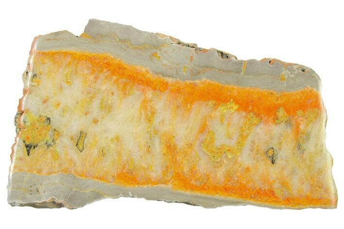 Polished Bumblebee Jasper Slab - Indonesia #338301